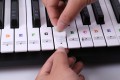 Mozos PK-STRS - naklejki na klawisze do keyboardu