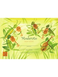 Zeszyt nutowy - Moderato