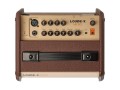 Fishman Loudbox Micro Pro - wzmacniacz do gitary elektroakustycznej