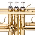 Stagg WS-TR115 - trąbka