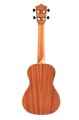Bamboo BU-23S Aurora - ukulele koncertowe + POKROWIEC