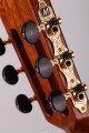 Martinez MC-48S (świerk) - gitara klasyczna 4/4