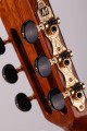 Martinez MC-35C Prelude Satin - gitara klasyczna 4/4