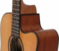 Dowina Riesling DCE - gitara elektroakustyczna