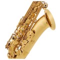 V-TONE TS 100 - saksofon tenorowy + AKCESORIA