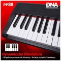DNA PP 88 pianino cyfrowe pełnowymiarowe klawisze