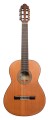 Martinez Torres Mahogany 650 MH (cedr) satin - gitara klasyczna 4/4