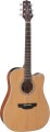 Takamine GD20CE NS - gitara elektroakustyczna