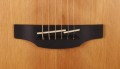 Takamine GD20CE NS - gitara elektroakustyczna