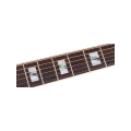 Richwood HSDS-42-TBK - gitara akustyczna