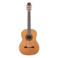 Martinez MC-88C (cedr) - gitara klasyczna 4/4 + POKROWIEC
