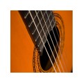 Washburn C 5 - gitara klasyczna 4/4