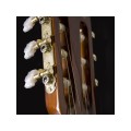 Washburn C 5 - gitara klasyczna 4/4