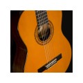 Washburn C 5 - gitara klasyczna 4/4