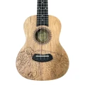 Laila UFG-2311-C Bear - ukulele koncertowe + POKROWIEC