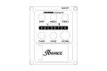 Ibanez AEWC11-DVS - gitara elektroakustyczna