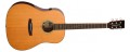 Tanglewood TRS 5E - gitara elektroakustyczna - smart