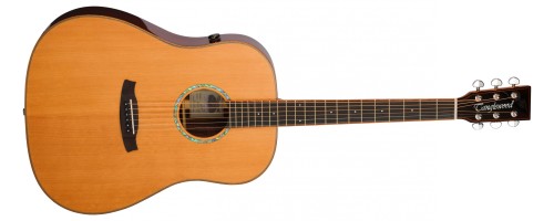 Tanglewood TRS 5E - gitara elektroakustyczna - smart