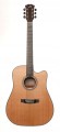 Dowina Riesling DCE - gitara elektroakustyczna LR Baggs