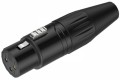 Roxtone RX3FP-BT - wtyk XLR żeński
