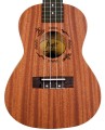 Flight NUC310 - ukulele koncertowe