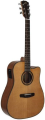 Dowina Riesling DCE - gitara elektroakustyczna LR Baggs