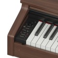 Casio AP-270 BN - pianino cyfrowe
