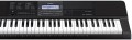 Casio CT-X800 - Keyboard + STATYW