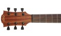 LAG T70D - gitara akustyczna + AKCESORIA