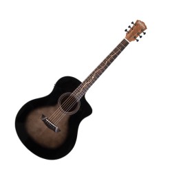Washburn BTS 9 VCE - gitara elektroakustyczna