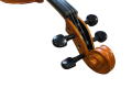 IMG_1503-removebg-preview.png