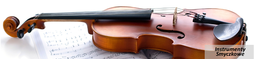 Instrumenty smyczkowe